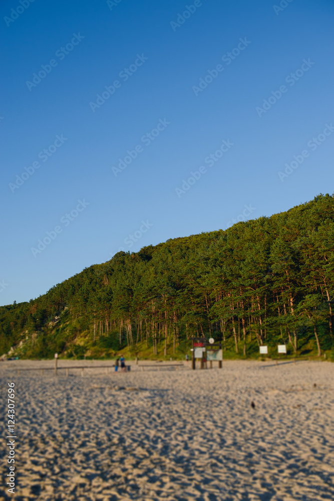 Fototapeta premium beach and sea