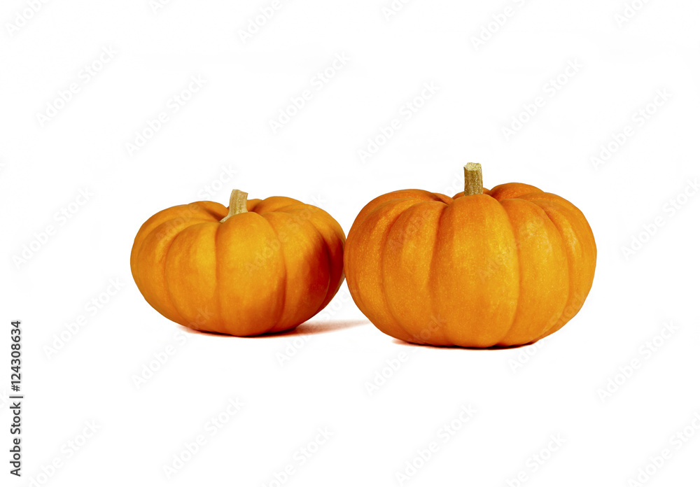 Obraz premium Two Small Pumpkins