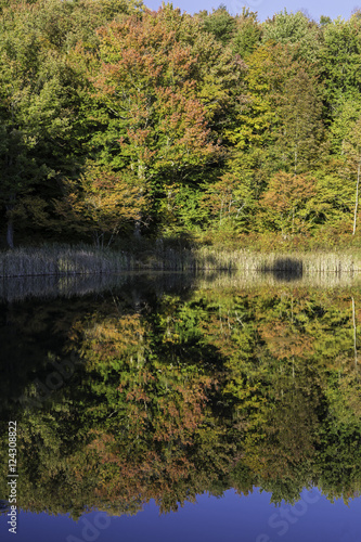 Snake Pond Autumn Reflections © lightphoto2