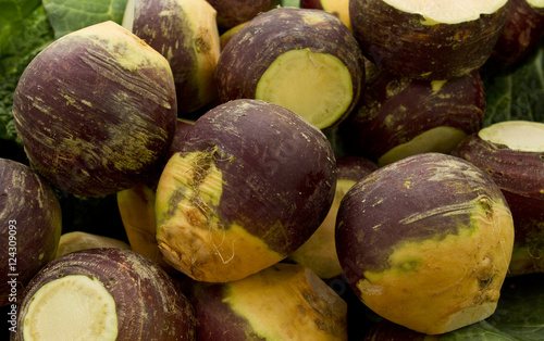 Swede vegetable. The rutabaga from an old Swedish word), swede from Swedish turnip, turnip, or neep or Brassica napus is a root vegetable