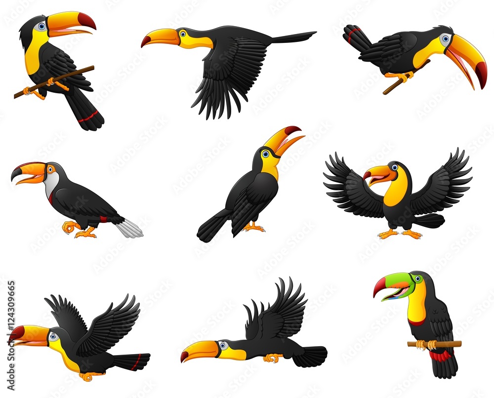 Naklejka premium Set of toucans cartoon