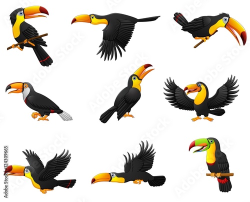 Set of toucans cartoon