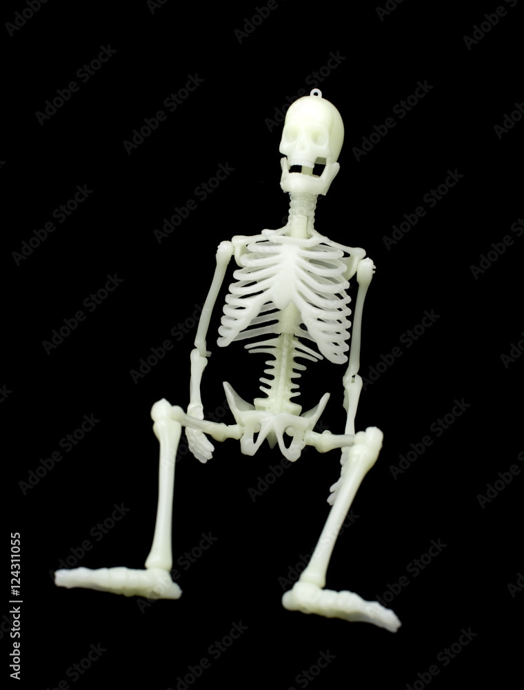 laughing skeleton laughing skeleton