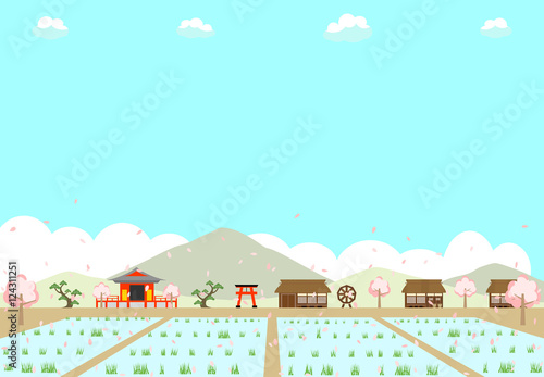 農村の水田と桜