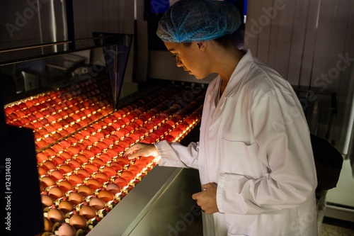 Female staff examining eggs in lighting control quality photo