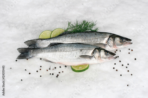 Wolfsbarsch Filett auf Eis mit Dekoration