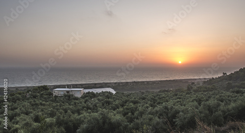 Olive trees, sea and sunset