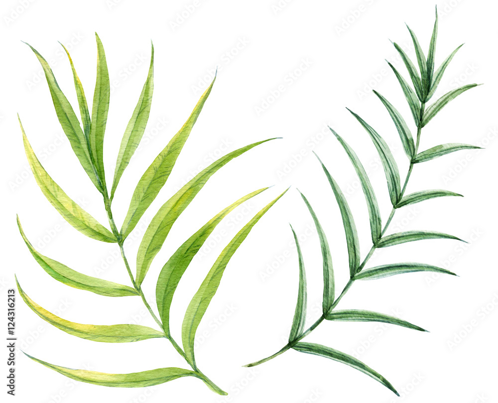 Watercolor tropical leaves Watercolor tropical leaves