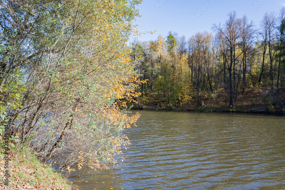 Landscape on a city pond in sunny autumn day Landscape on a city pond in sunny autumn day