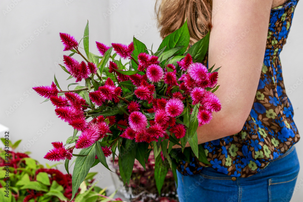 Woman holding bunch of celosia flowers.
