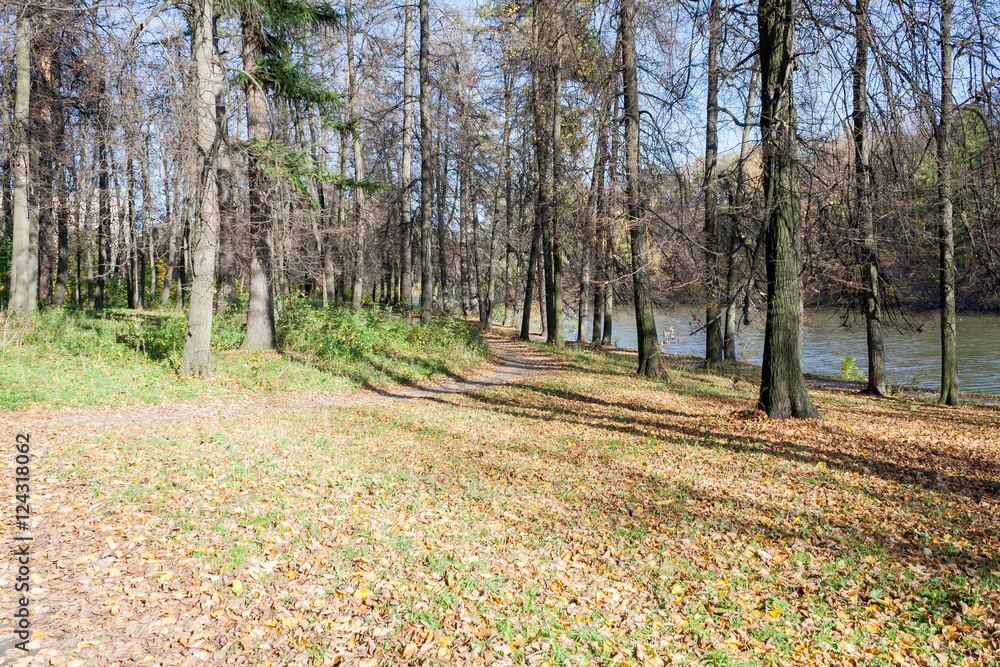 Landscape on a city pond in sunny autumn day Landscape on a city pond in sunny autumn day