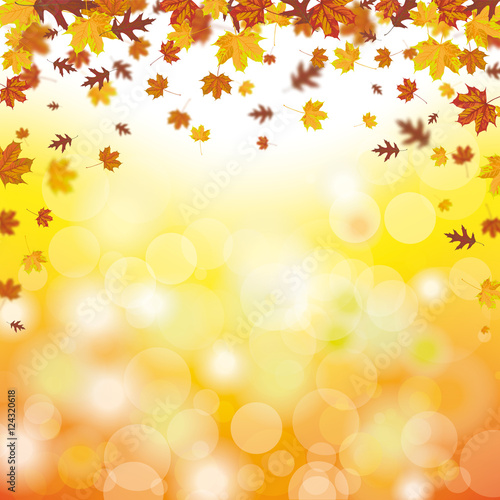 Herbst - Fallende Baumblätter von Ahorn und Eiche in Herbstfarben mit Sonnenstrahlen