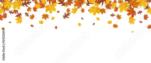Autumn Foliage Fall Header