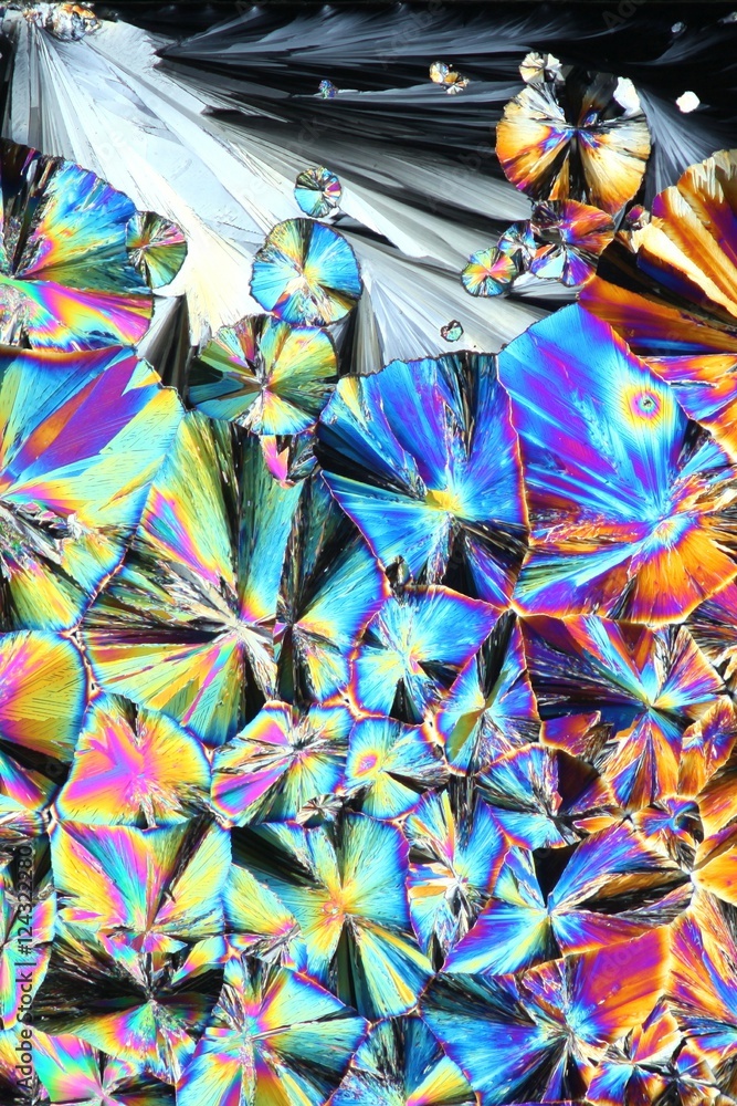 Fototapeta premium Crystals of citric acid, microscope image.