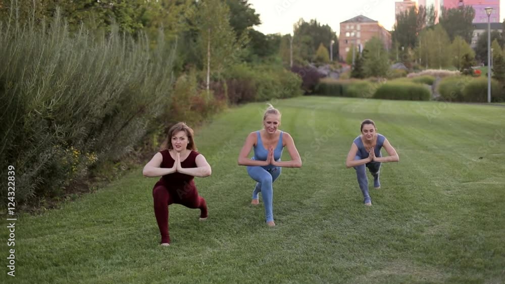 Yoga students practicing yoga in the Park. Yoga students practicing yoga in the Park.