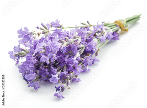 Fototapeta Naklejka Na Ścianę i Meble -  Bunch of lavandula or lavender flowers isolated on white backgro