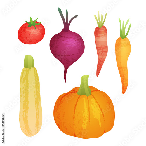 Cute vector vegetable collection on white isolated background. Organic food autumn set with pumpkin, carrot, squash, tomato and beetroot.