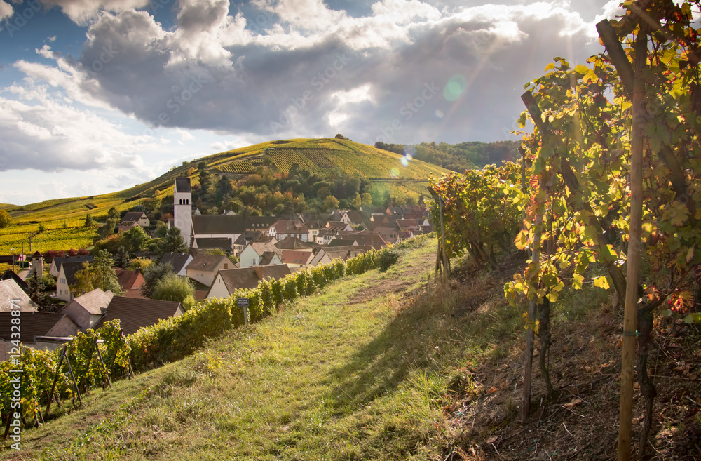 Village de Katzenthal et ses vignes, Haut Rhin, Alsace, France