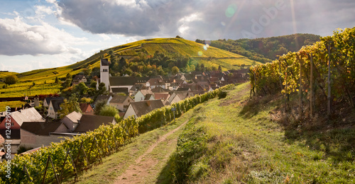 Village de Katzenthal en automne  Haut Rhin  Alsace  France
