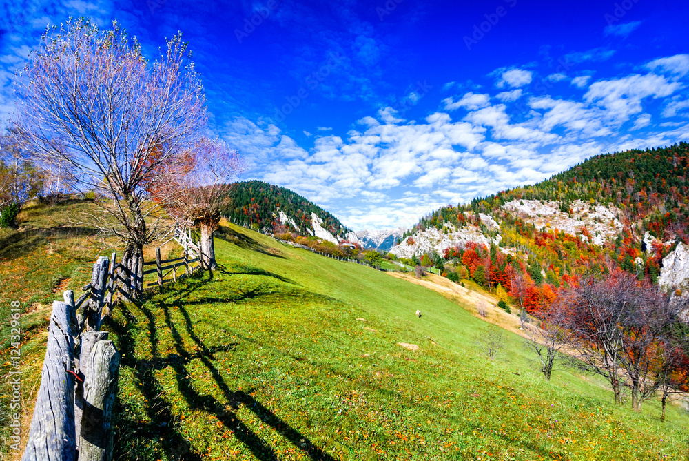 Carpathian Mountains, Autumn landscape in Magura