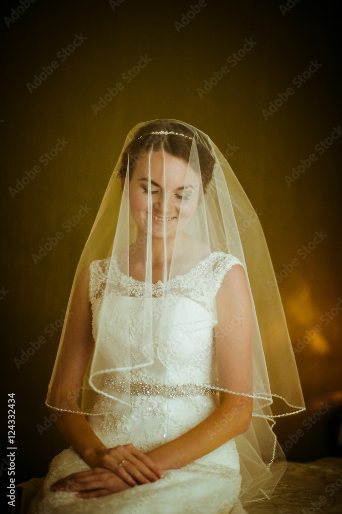 Φωτογραφία Warm picture of radiant bride sitting shy under the veil