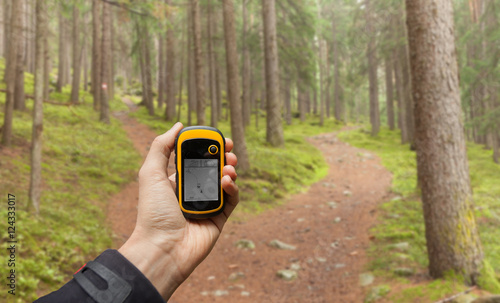 finding the right position in the forest via gps ( blurred background