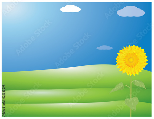 sunflower with sky background vector design