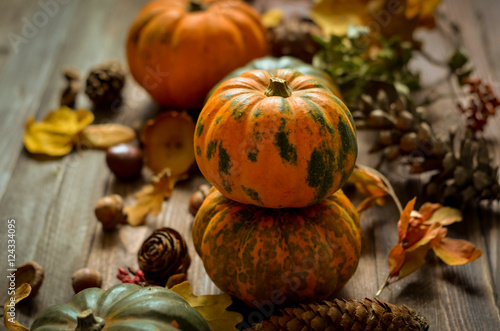 Decorative pumpkins on a wooden background