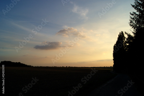 Felder Panorama