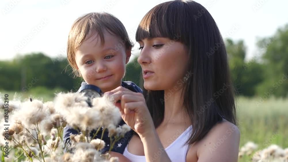 Young mother holding child daughter have fun walking among white cottony furry flowers on sunset nature Young mother holding child daughter have fun walking among white cottony furry flowers on sunset nature