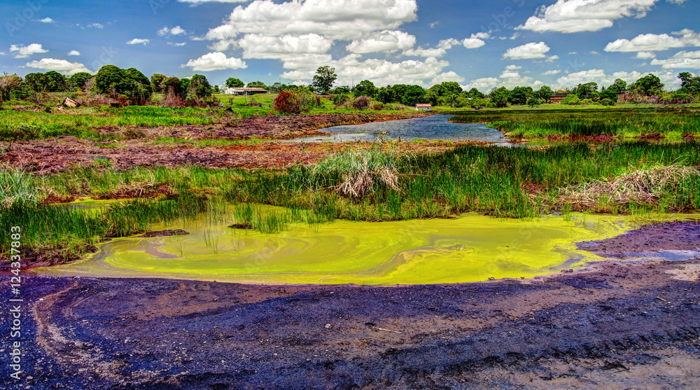 Obraz premium Bitumen and asphalt Pitch lake in Trinidad island, Trinidad and Tobago