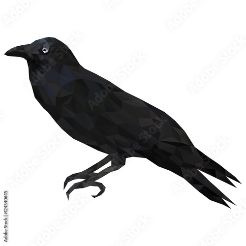 Low poly illustration of black raven. Black bird crow - isolated decorative element. To make halloween decorations.