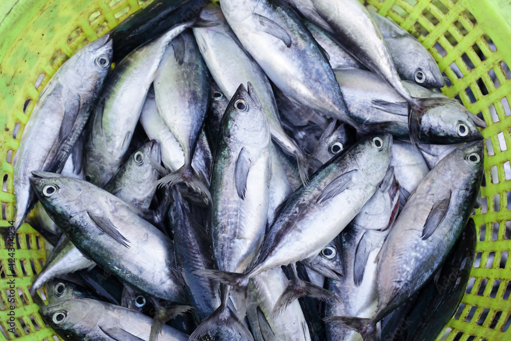 fresh fish in basket fresh fish in basket