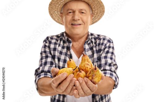 Mature agricultural worker offering pears