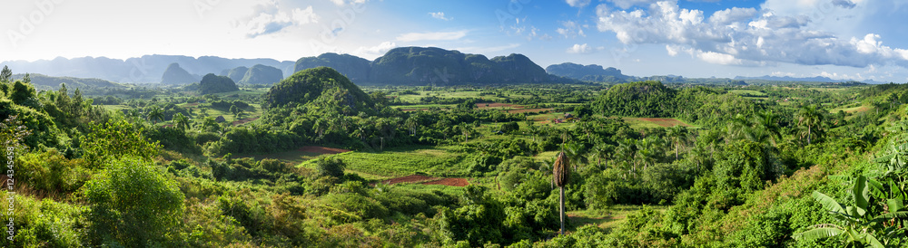 panorama of valley of Vinales,Cuba - obrazy, fototapety, plakaty 