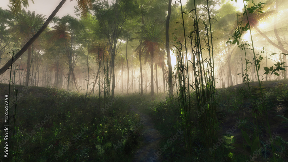 Naklejka premium Pathway in foggy jungle with sun rays.