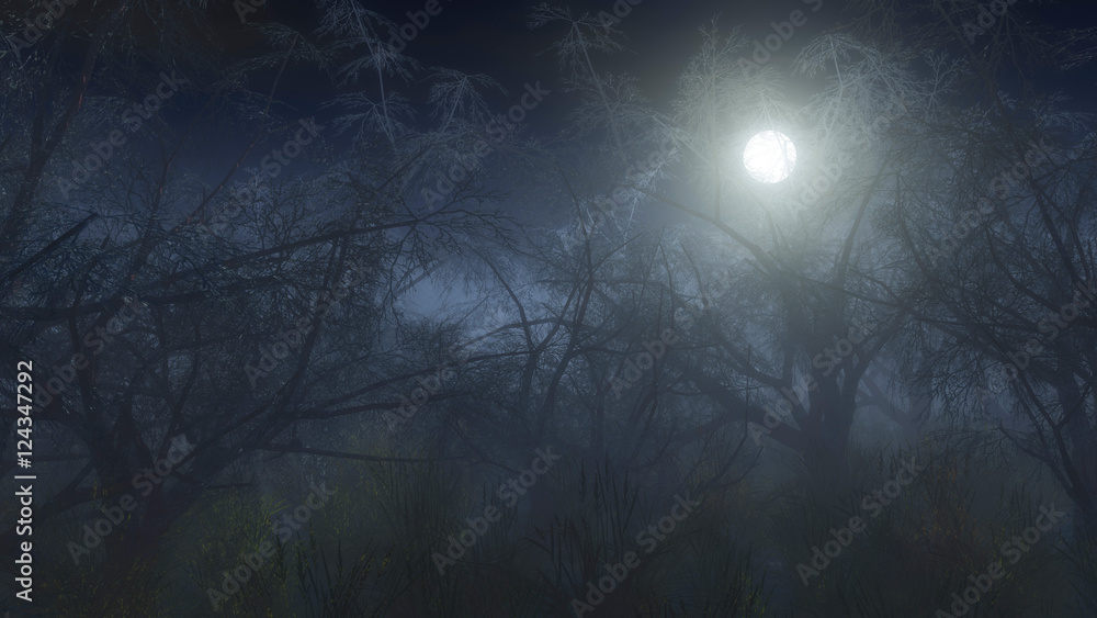 Spooky winter forest in the mist at moonlight.