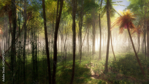 Tropical forest with palm trees in mist.