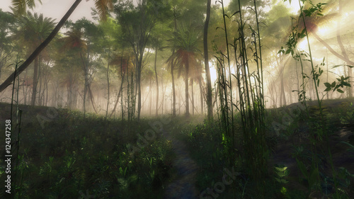 Pathway in foggy jungle with sun rays.
