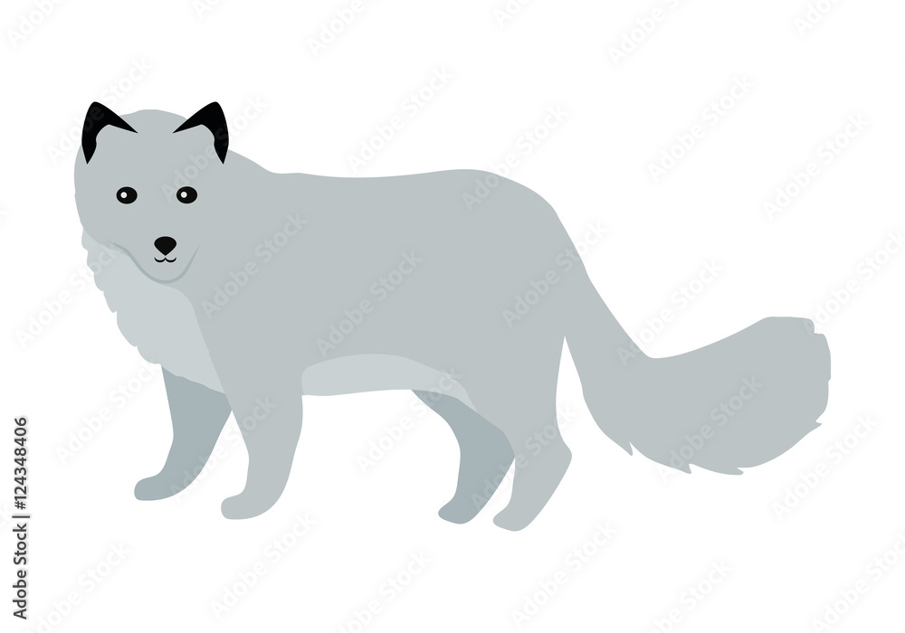 Polar Fox Vector Illustration in Flat Design