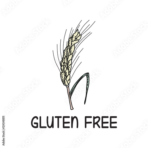 GLUTEN FREE CONCEPT