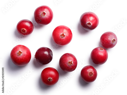Tableau sur toile Wild cranberries, top view,  paths
