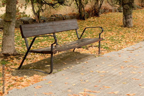 Lone bench on a ride in the autumn