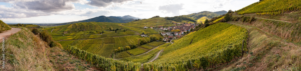 Le village de Niedermorschwihr dans son vignoble alsacien en automne, à l'époque des vendanges