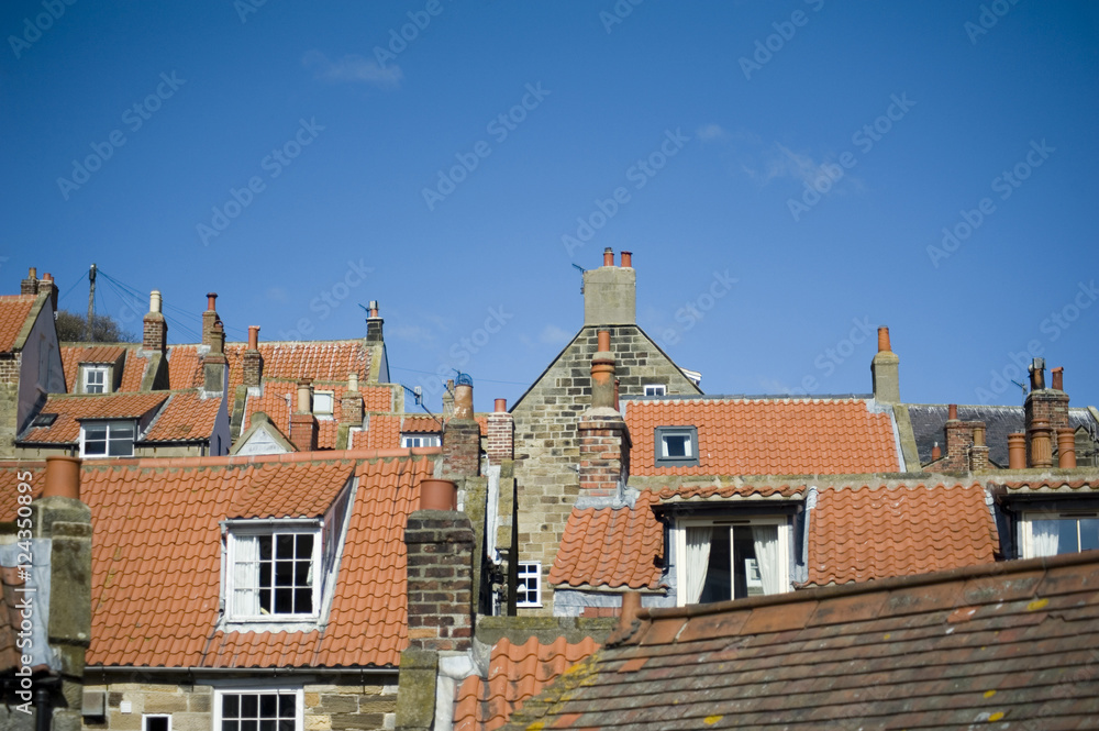 Traditional cottage roofs