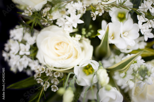 A narrow depth of field image featuring white flowers and green foliage on a dark backdrop