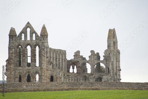 Ruins of Whitbey Abbey photo