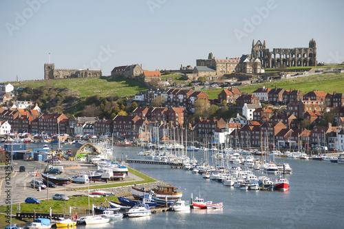 Whitby upper harbour and abbey ruins photo