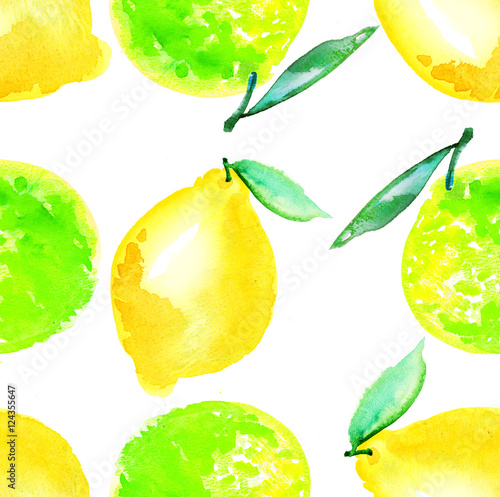 Fototapeta Naklejka Na Ścianę i Meble -  Watercolour lime and lemon fruit illustration. citrus natural ha