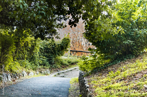 Viale autunnale a Cuneo © graziartw